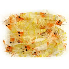 Bezli Karides 5.5 Cm 30P 08