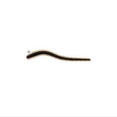 Fladen Sandworm 20 cm 8.5 G 3P Silikon Kum Kurdu Koyu